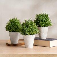 Set of 3 Artificial Topiary Plants in Cement Pot
