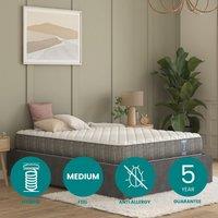 Pocket+ and Recycled Foam Hybrid Mattress