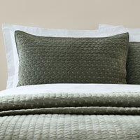 Attica Velvet Embroidered Pillow sham Pair