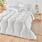 Synthetic Summer Duvet, Organic Cotton Cover with Anti-Dust Mite Treatment