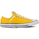 Chuck Taylor All Star Trainers