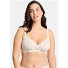 Elise Full Cup Bra Without Underwiring