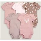 Pack of 5 Bodysuits with Short Sleeves in Cotton