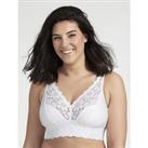 Lace Dreams Bra without Underwiring