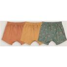Pack of 3 Shorts in Cotton