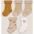 Pack of 5 Pairs of Socks in Cotton