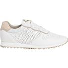 Leather Perforated Trainers
