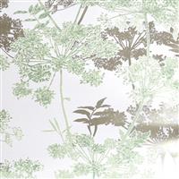 Superfresco Meadow Floral Wallpaper, Green