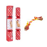 RSW International Pet Dog Christmas Cracker, 14", Red
