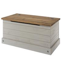Casa Connor Storage Trunk, Grey