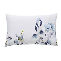 Voyage Maison Hibbertia Crocus Standard Pcasepair, Crocus