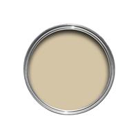 Farrow & Ball Emulsion Tester, 100ml, Sting