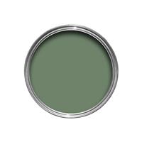 Farrow & Ball Emulsion Tester, 100ml, Calke Green