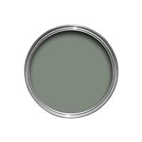 Farrow & Ball Emulsion Tester, 100ml, Card Room Green