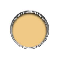 Farrow & Ball Emulsion Tester, 100ml, Yellow Ground