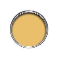 Farrow & Ball Emulsion Tester, 100ml, Babouche