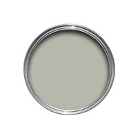 Farrow & Ball Emulsion Tester, 100ml, Mizzle