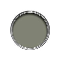 Farrow & Ball Emulsion Tester, 100ml, Treron