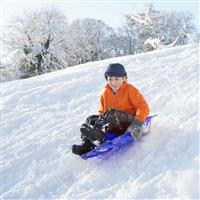 Delta Snow Sledge, Blue