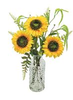 Sunflower & Catkin Arrangement in Vase