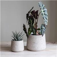 Garden Trading Stratton Tapered Plant Pot Set, Stone