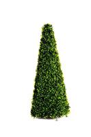 Smart Garden Topiary Obelisk, 60cm, Green