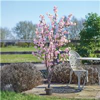 Smart Garden Artificial Cherry Tree, 170cm, Pink