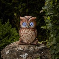 Smart Garden Blinkin' Owl Solar Garden Ornament