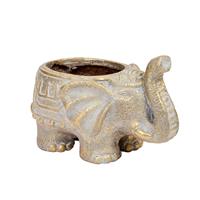 Smart Garden Elephant Planter, 28cm