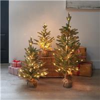 Smart Garden InLit Sparkly Fir Tree, 85cm, Green & Brown