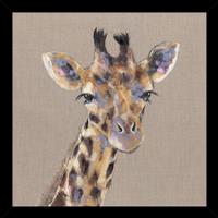 George by Louise Luton Framed Canvas
