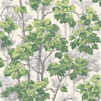Belgravia Rivington Tree Wallpaper, Green