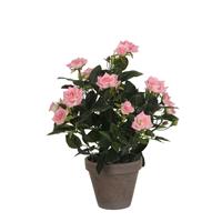 Edelman Rosebush Articial Pot, Pink