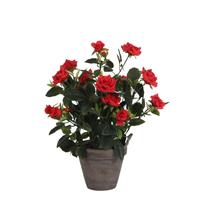 Edelman Rosebush Articial Pot, Red