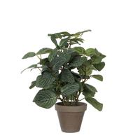 Edelman Pilea Artificial Potted Plant