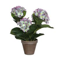Edelman Hydrangea Artificial Potted Plant, Blue
