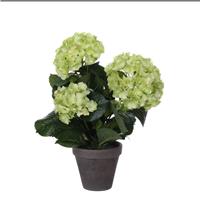 Edelman Hydrangea Artificial Potted Plant, Green