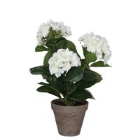 Edelman Hydrangea Artificial Potted Plant, White