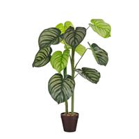 Edelman Caladium Artificial Potted Plant