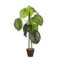 Edelman Caladium Artificial Potted Plant