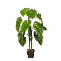 Edelman Alocasia Artificial Potted Plant