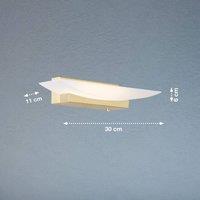 FISCHER & HONSEL LED wall light Bowl TW CCT width 30 cm, brass