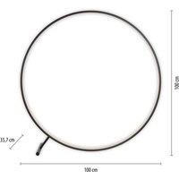 Paul Neuhaus LED floor lamp Hula CCT with remote control 100cm