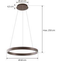 Lucande Smart LED pendant light Yonam, coffee, 1-bulb, Tuya