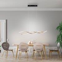 Paul Neuhaus Polina LED pendant light, gold, metal, dimmable