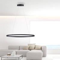 Paul Neuhaus Titus LED pendant light, oval 80x39cm