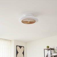 Lindby LED ceiling fan Mamuti, wood-coloured, quiet, 55 cm