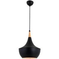 Avonni AV-4106-A7-BSY pendant light in an unusual shape