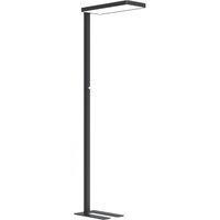 Arcchio LED floor lamp Timon, 54W, black, height 195 cm