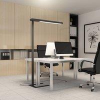 Arcchio LED office floor lamp Susi, set of 2, black, sensor